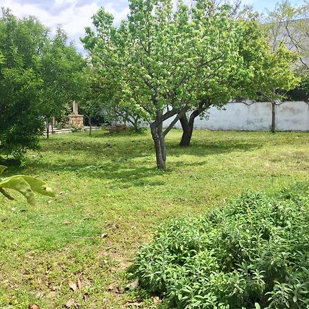 Salento Appartamenti カサラベート エクステリア 写真