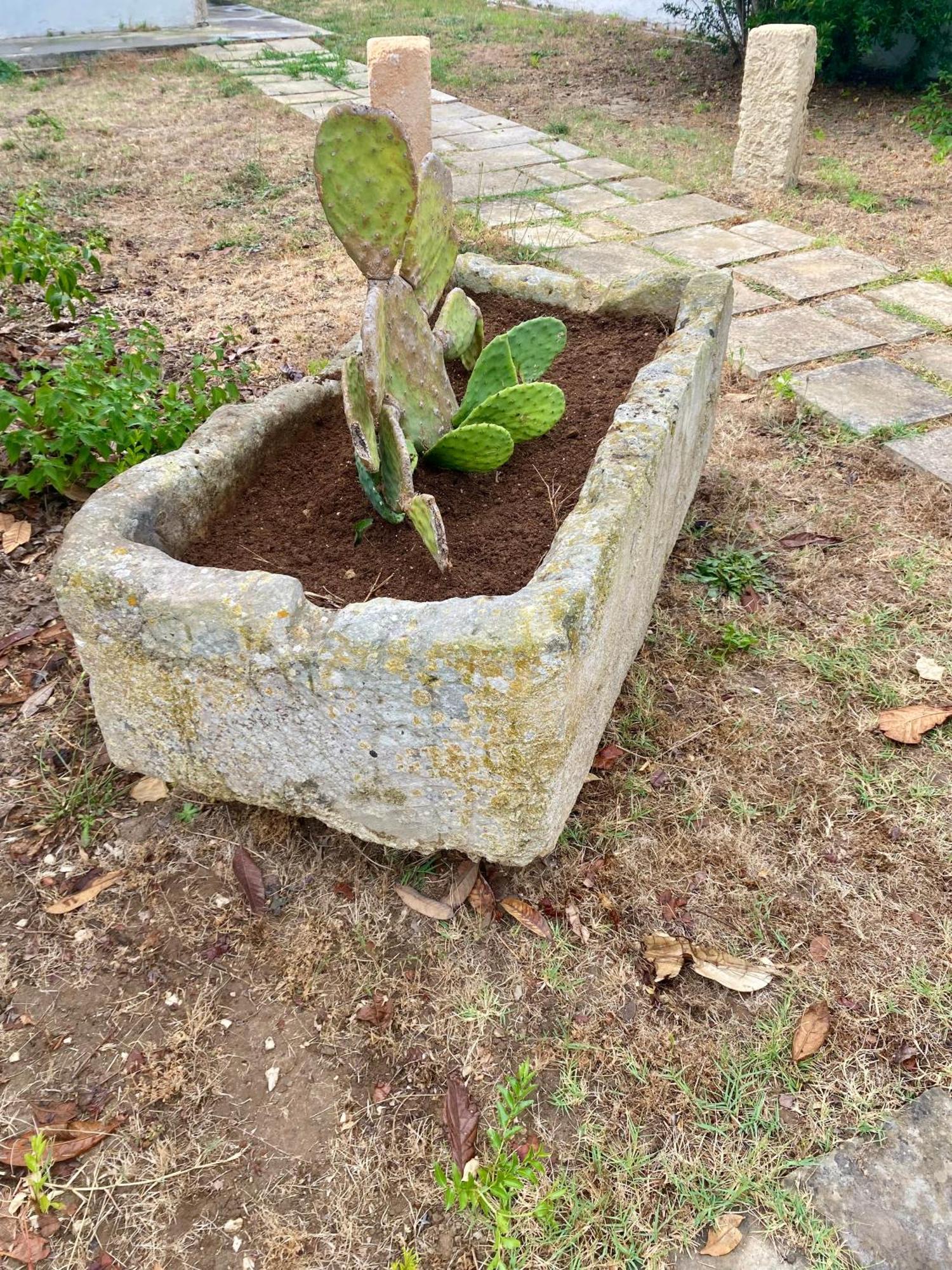 Salento Appartamenti カサラベート エクステリア 写真