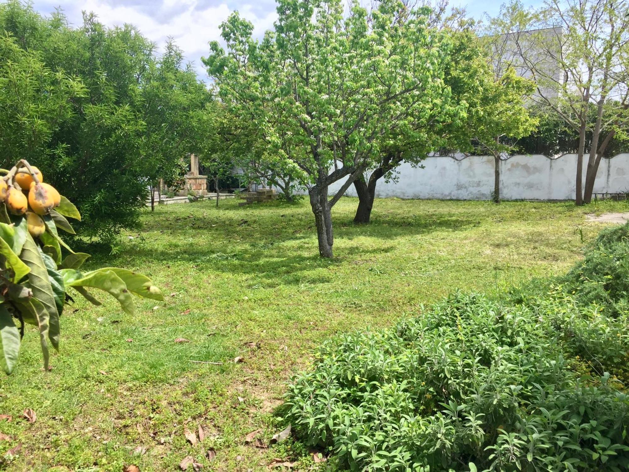 Salento Appartamenti カサラベート エクステリア 写真