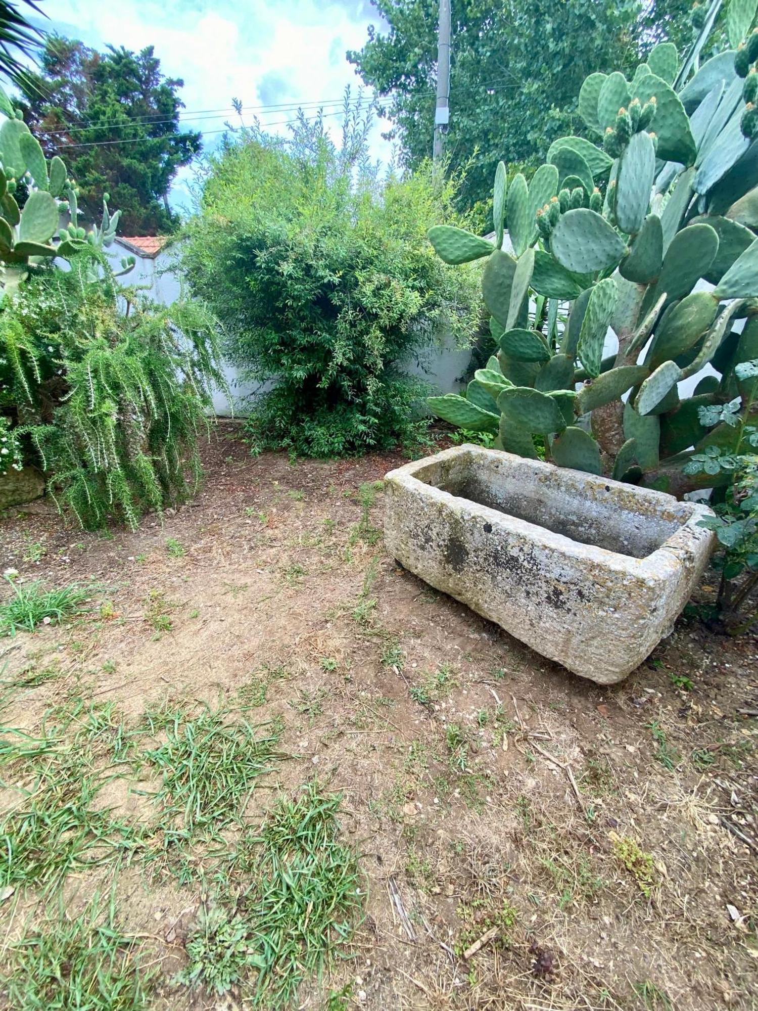 Salento Appartamenti カサラベート エクステリア 写真