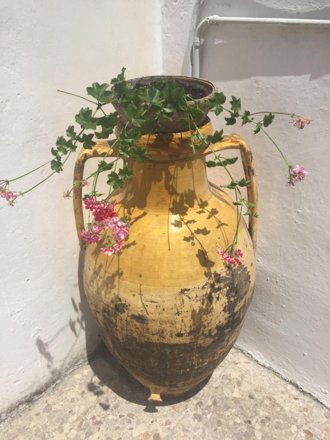 Salento Appartamenti カサラベート エクステリア 写真