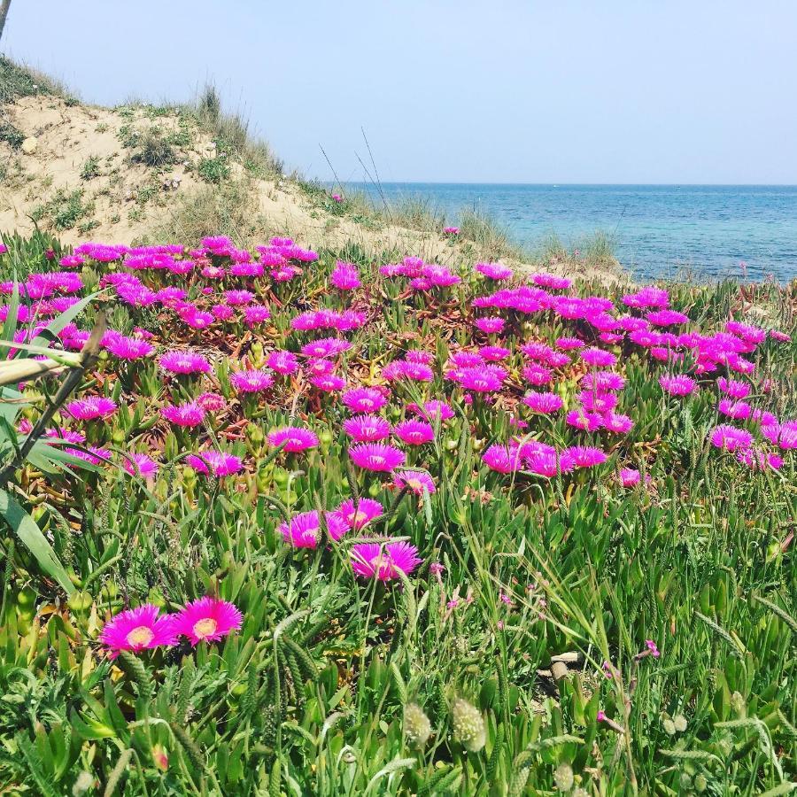 Salento Appartamenti カサラベート エクステリア 写真